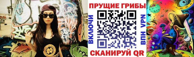 купить наркоту  Нестеровская  Псилоцибиновые грибы мицелий 